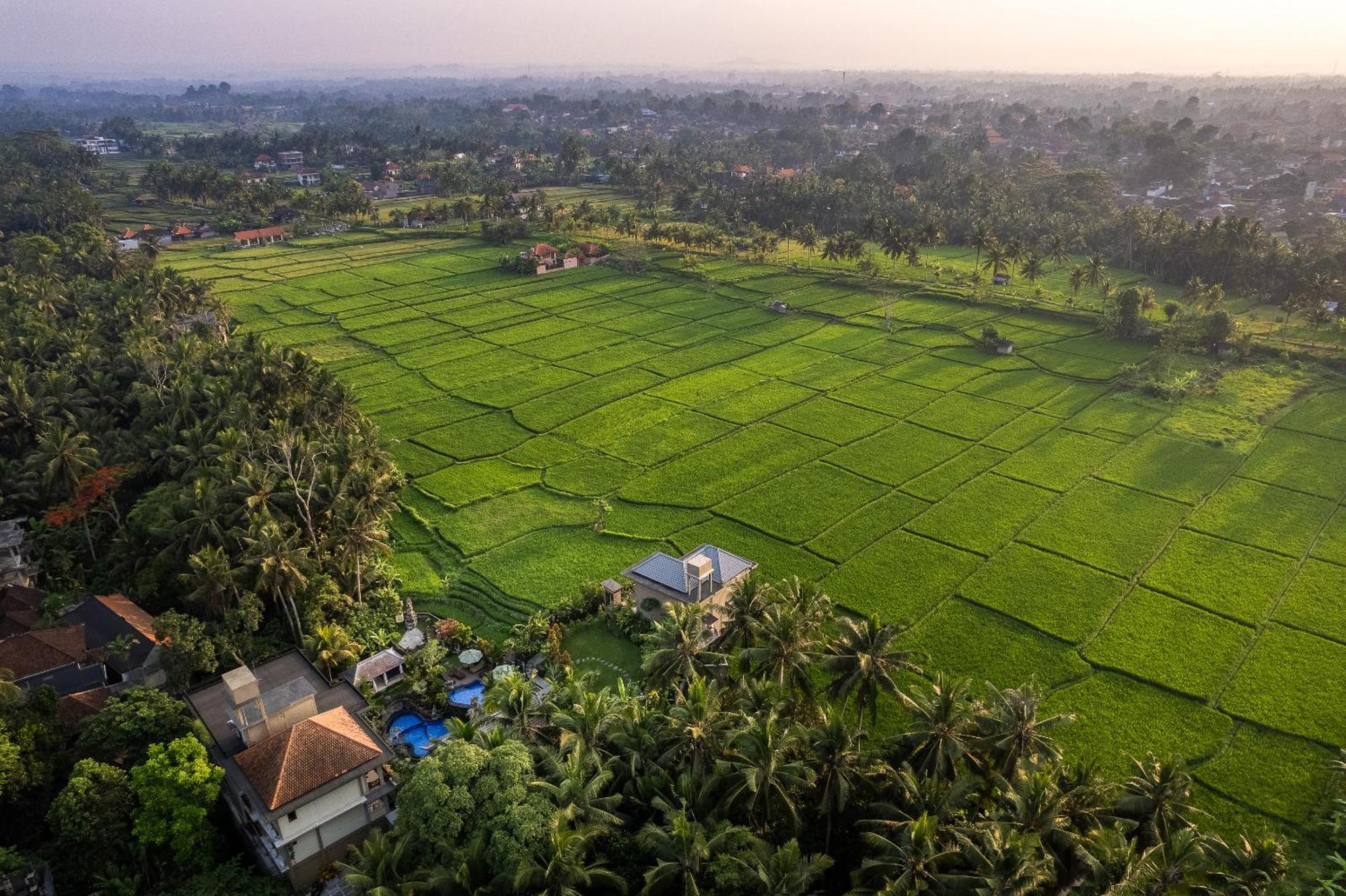 Gynandha Ubud Cottage 외부 사진